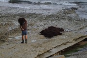 10_2015_recolectores_algas_009