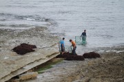 10_2015_recolectores_algas_017