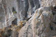 07_2015_sotorrana_alles_parque_006