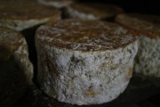 07_2015_sotorrana_alles_quesos_008