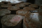 07_2015_sotorrana_alles_quesos_009