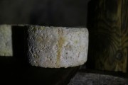 07_2015_sotorrana_alles_quesos_016