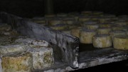 07_2015_sotorrana_alles_quesos_032