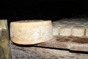 07_2015_sotorrana_alles_quesos_037