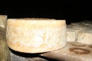 07_2015_sotorrana_alles_quesos_038