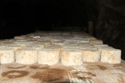 07_2015_sotorrana_alles_quesos_039