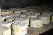 07_2015_sotorrana_alles_quesos_043