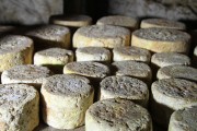 07_2015_sotorrana_alles_quesos_045