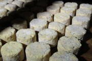 07_2015_sotorrana_alles_quesos_046