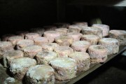07_2015_sotorrana_alles_quesos_050