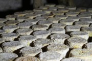 07_2015_sotorrana_alles_quesos_051