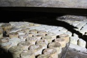 07_2015_sotorrana_alles_quesos_066