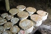 07_2015_sotorrana_alles_quesos_069