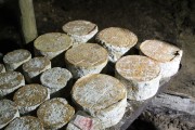 07_2015_sotorrana_alles_quesos_070