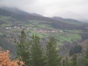 mencia_palomino_001