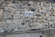 2016_09_vendimia_pum_011
