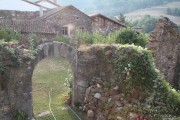 2016_09_vendimia_pum_014
