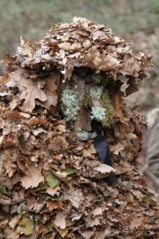 2015_01_vijanera_2014_018