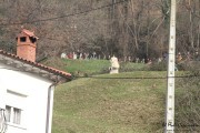 2015_01_vijanera_2014_040