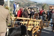 2015_01_vijanera_2014_043