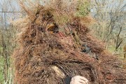 2015_01_vijanera_2014_049