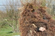 2015_01_vijanera_2014_050
