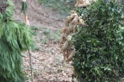 2015_01_vijanera_2014_063
