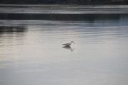 IMG_2579