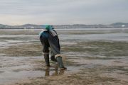 IMG_2597