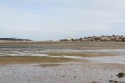 IMG_2725
