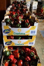 2020_09_islagalo_1600_005