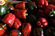 2020_09_islagalo_1600_008