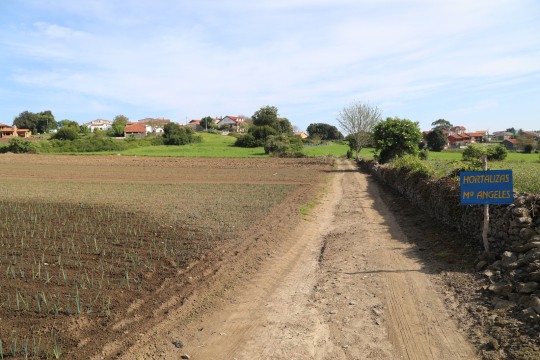 2022_06_hortalizas_mprimavera_007