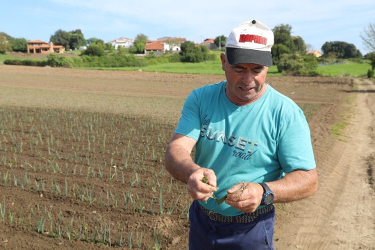 2022_06_hortalizas_mprimavera_013