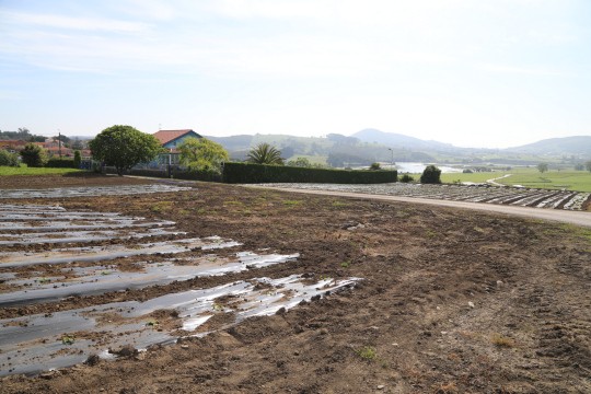 2022_06_hortalizas_mprimavera_016