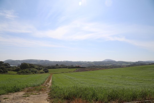 2022_06_hortalizas_mprimavera_029