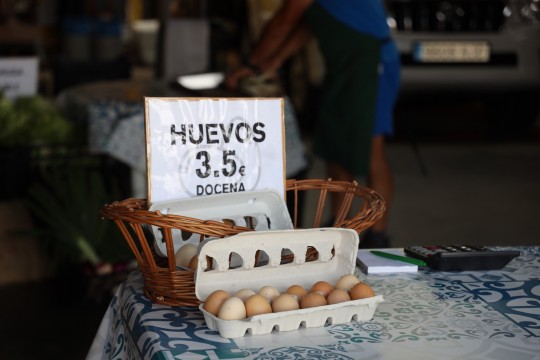 2022_06_hortalizas_mverano_001