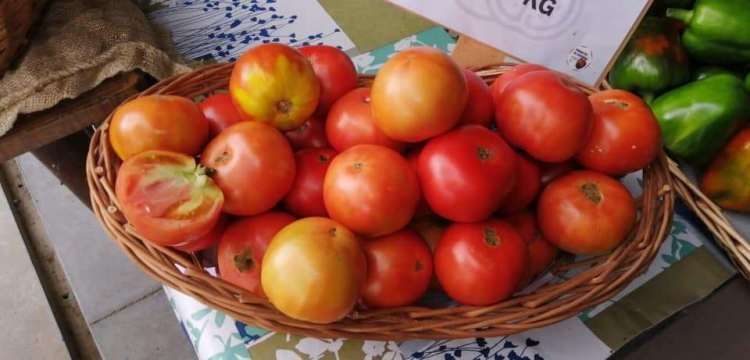 202z_06_hortalizas_mverano_004