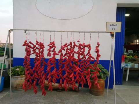 202z_06_hortalizas_mverano_005