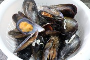 2021_04_mejillones_005