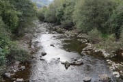 2019_10_otovapas_mulecarajonero_002