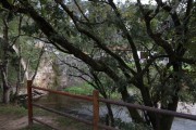 2019_10_otovapas_mulecarajonero_009