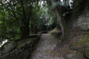 2019_10_otovapas_mulecarajonero_010