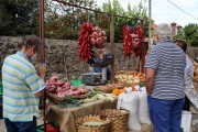 2019_10_otovapas_mulecarajonero_021
