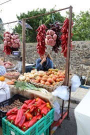 2019_10_otovapas_mulecarajonero_022