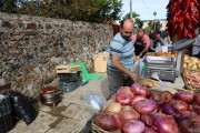 2019_10_otovapas_mulecarajonero_065