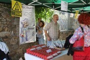 2015_11_pasiego_lierganes_053