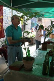 2015_11_pasiego_lierganes_063