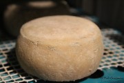09_2015_queseria_el_bardal_023