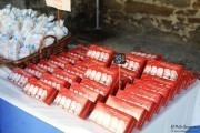 2017_10_san_roque_033